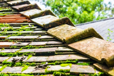 Entretien de toiture, les gestes essentiels pour la pr&eacute;server